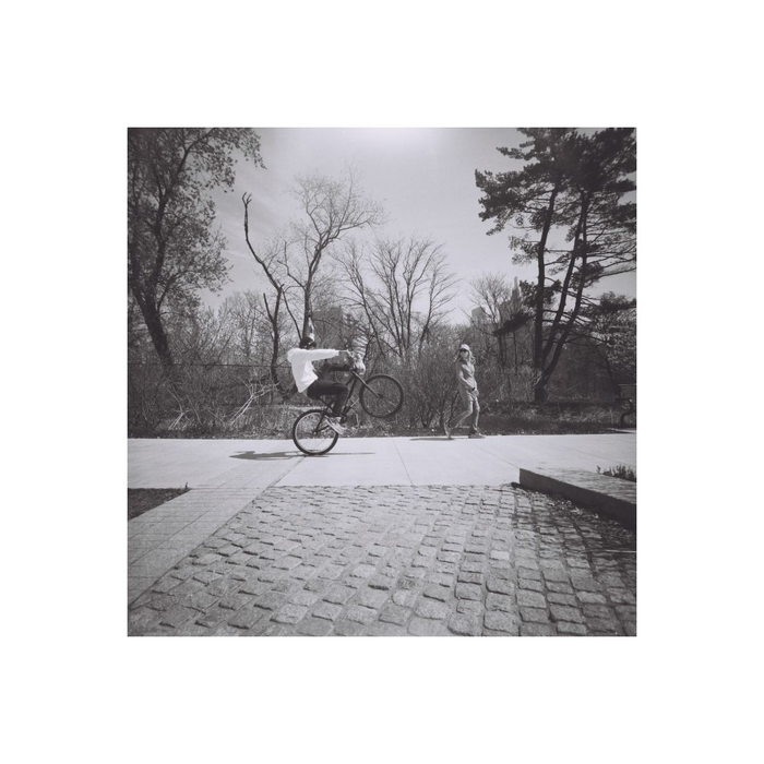 Lomography Lady Grey, ISO 400. 120, Pack of 3