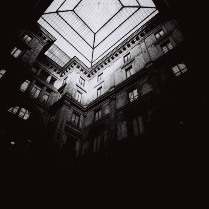 Lomography Earl Grey, ISO 100. 120, Pack of 3