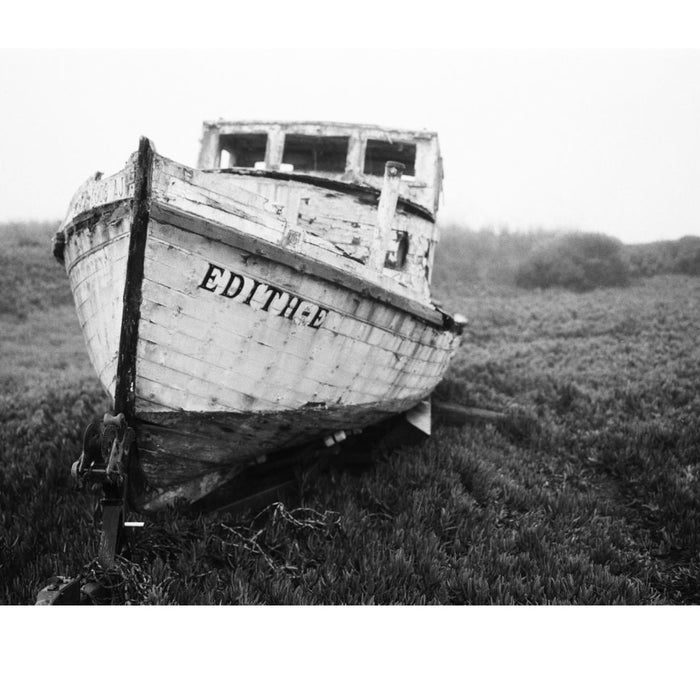 Lomography Potsdam Kino, ISO 100. 135-36