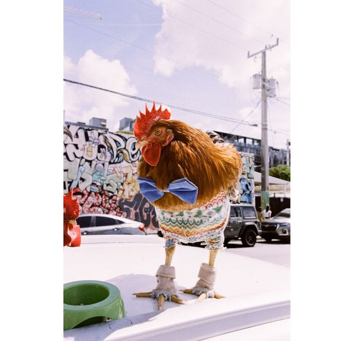 Lomography LomoChrome Metropolis XR ISO 100-400, 135-36