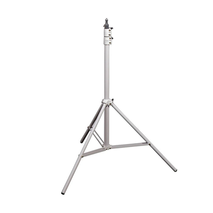 Godox Litemons LP400R Two Head Schools Kit