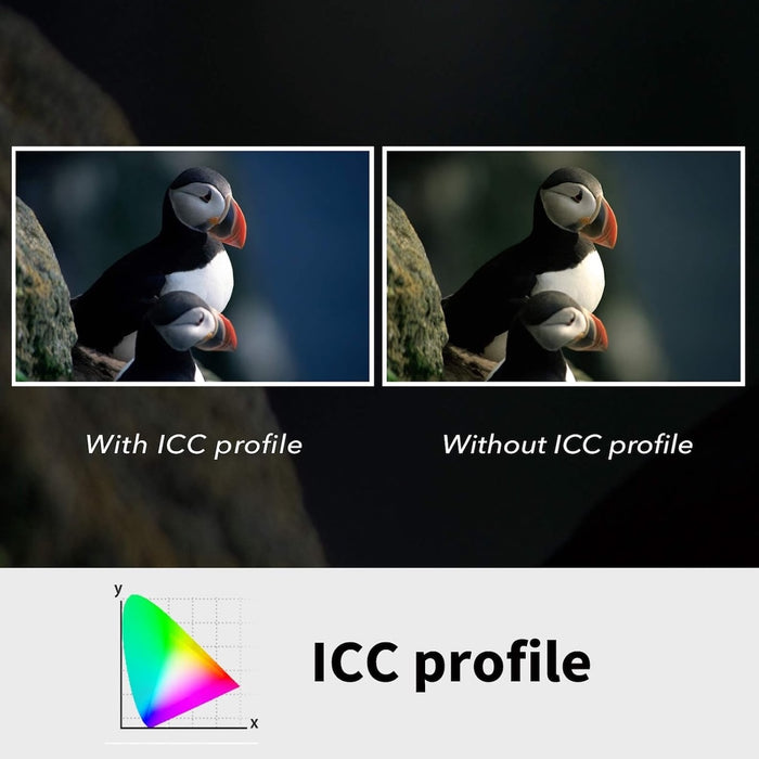 Plustek OpticFilm 8100 Film Scanner