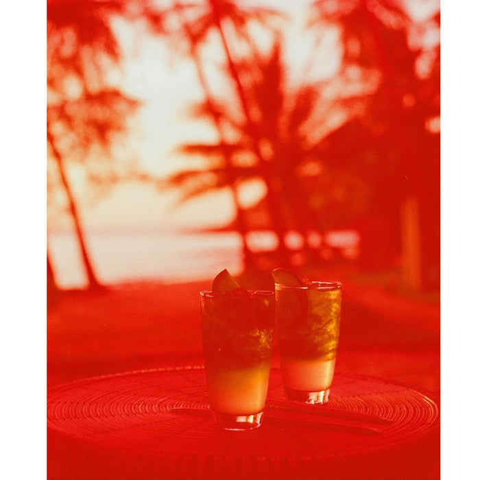 Revolog 600nm 135-36