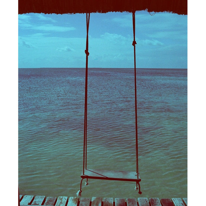 Revolog 600nm 135-36