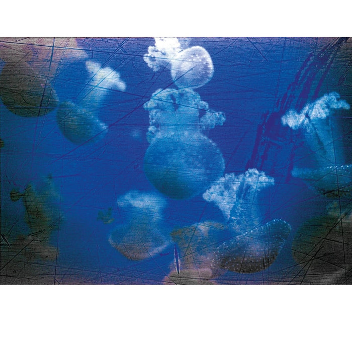 Revolog Streak 135-36