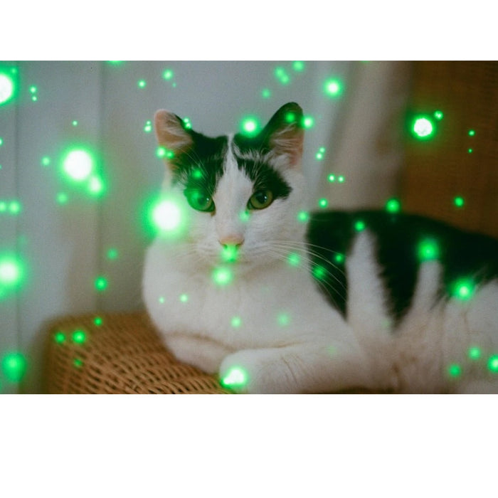 Revolog Volvox 135-36