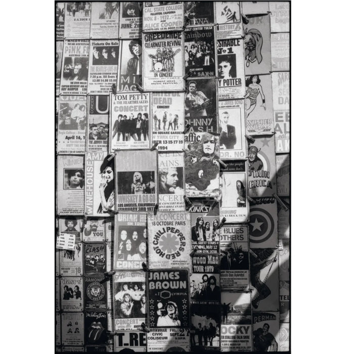 Rollei Superpan 200 135-36, ISO 200