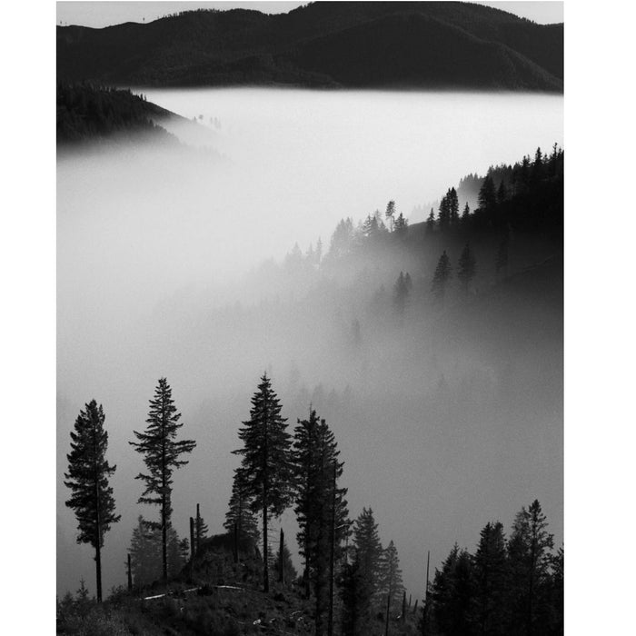 Rollei Retro 80S 120, ISO 80