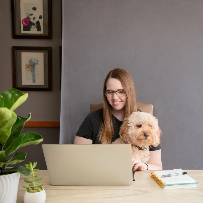 Westcott X-Drop Wrinkle-Resistant Backdrop 5' x 7' (Select Colour)