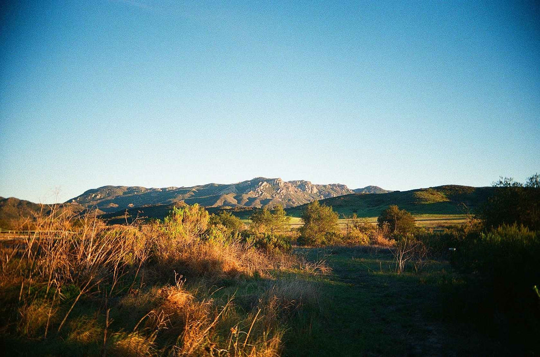 Kodak Eastman UltraMax 400 - 35mm 36Exp